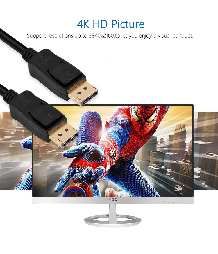 DP1.2 HD.jpg DP1.2 HD.jpg